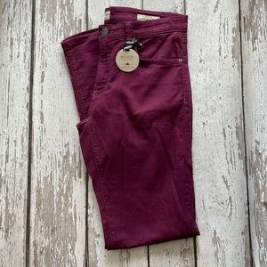 Agave Denim Rocker The Slim Straight